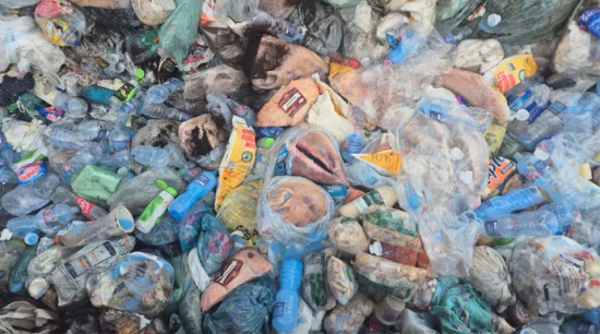 Operação Limpa Prateleira apreende mais de 600 kg de produtos vencidos em supermercado de MT