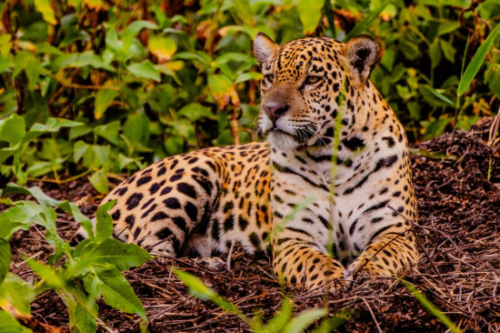 Feirão Fit Turismo oferece descontos de até 20% em viagens por Mato Grosso