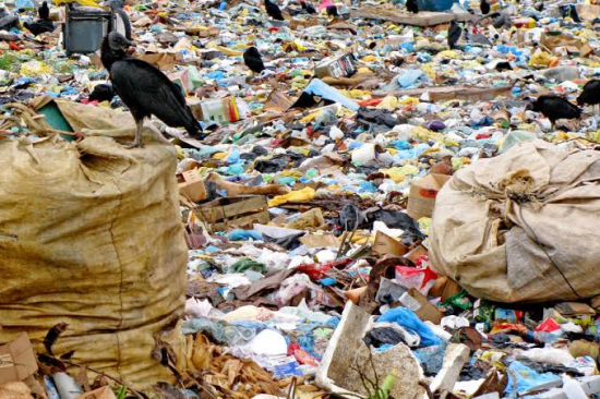 Projeto de aterro sanitário em Pontal do Araguaia gera alerta ambiental e preocupação entre famílias rurais