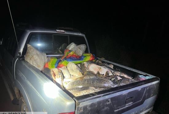 Polícia Ambiental apreende mais de 400 kg de pescado ilegal durante a piracema em MT