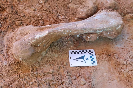 Chapada dos Guimarães guarda vestígios de mares e dinossauros de milhões de anos atrás