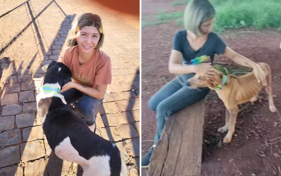 Voluntária coloca coleiras refletivas em cães de rua para evitar atropelamentos em Quirinópolis