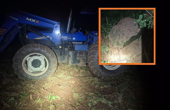 Trabalhador rural morre após ser atacado por enxame de abelhas