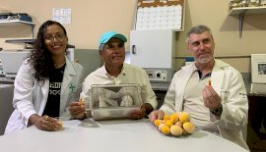 Pesquisa com óleo de pequi pode ajudar a controlar diabetes e peso durante gestação