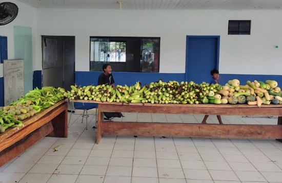 Seaf fortalece produção da agricultura familiar indígena e impulsiona renda e autonomia das aldeias