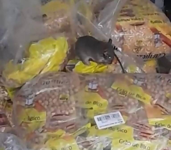 Fiscalização é realizada após vídeos sobre supostas pragas em estabelecimento atacadista