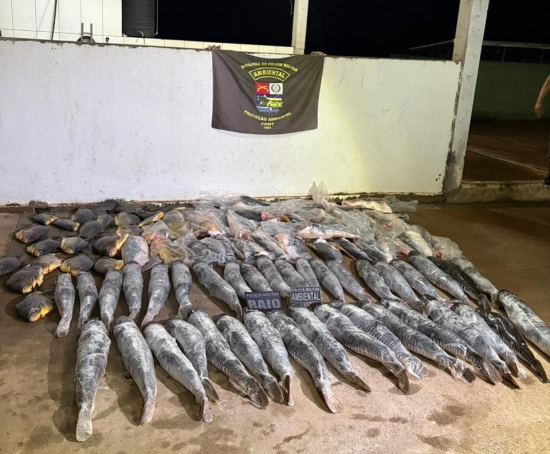 Homem é preso com mais de 340 quilos de pescado ilegal durante operação ambiental