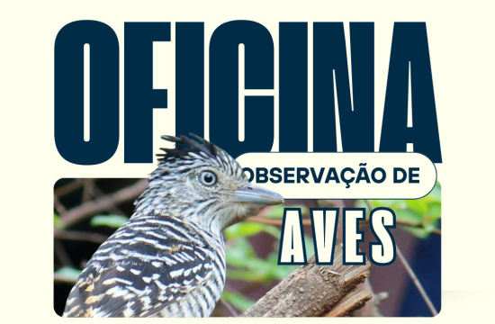Vale do Araguaia recebe oficinas gratuitas de observação de aves voltadas ao turismo de natureza