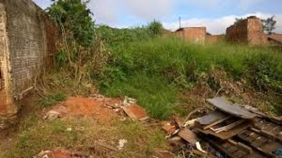 Quase 400 proprietários foram notificados para limpar terrenos em 2025