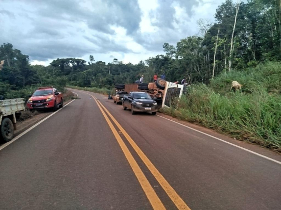 Corpo de Bombeiros realiza resgate de gado após carreta tombar na MT-325