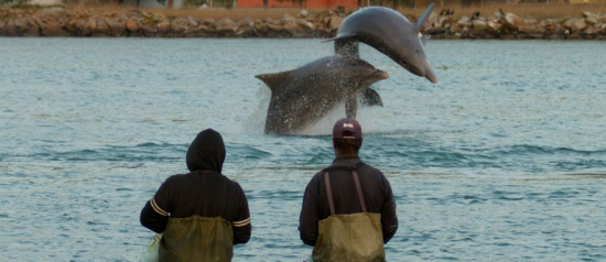 Pesca com botos é reconhecida como Patrimônio Cultural do Brasil