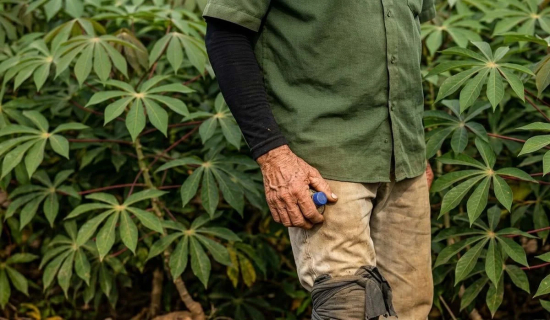 Operação resgata 12 trabalhadores em condições análogas à escravidão em fazenda de MT
