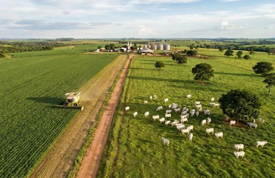 IFMT Barra do Garças abre inscrições para curso gratuito em produção agropecuária sustentável