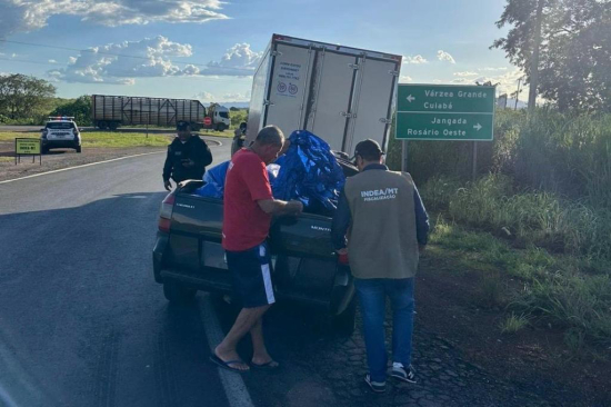 Indea intensifica fiscalização para coibir venda de pescado de estabelecimentos não registrados