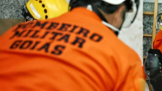 Bombeiro diz que tentou assustar, mas matou cachorro com tiro