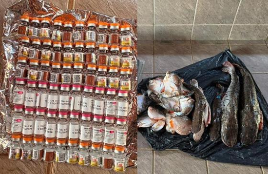 PM apreende 60 ampolas de remédio para emagrecer e pescado em rodovia de Bom Jardim de Goiás