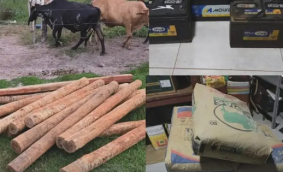 Polícia Civil esclarece furto em chácara de prefeito e recupera materiais em General Carneiro