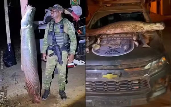 Pirarucu de mais de 100 kg é apreendido durante fiscalização contra pesca ilegal