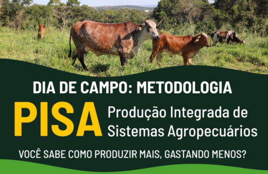 Dia de Campo: Produção Integrada de Sistemas Agropecuários (PISA) na prática!