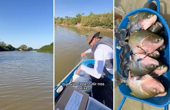 Presença de tambaqui no Rio Araguaia acende alerta para risco ambiental e econômico
