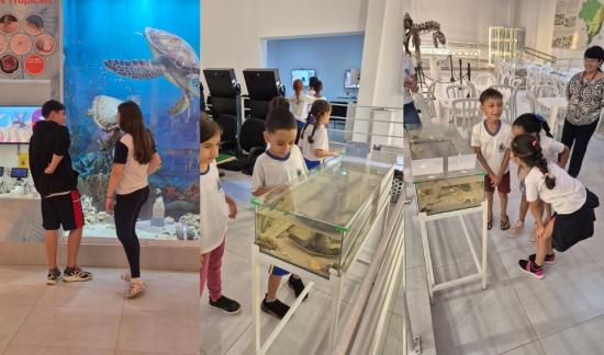 MuHNA inaugura Sala Imersiva de Biodiversidade Marinha em Barra do Garças