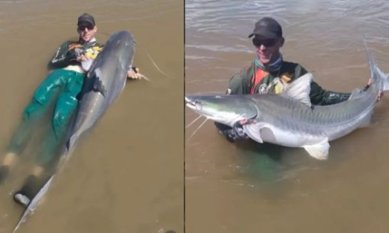 Pescador viraliza após capturar piraíba gigante no Rio Araguaia