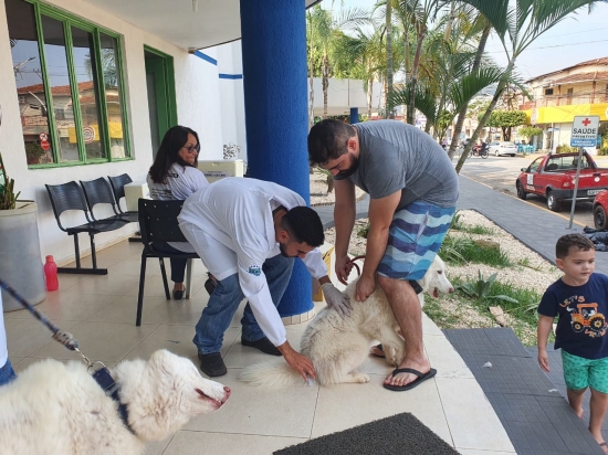 Vacina antirrábica está disponível no Centro de Zoonose de Barra do Garças