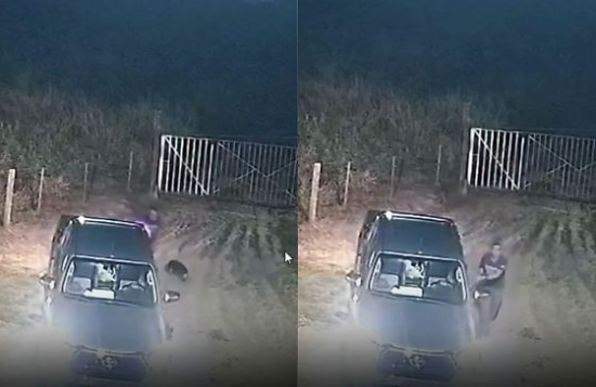 Câmeras registram abandono de cachorro próximo ao Parque Serra Azul em Barra do Garças