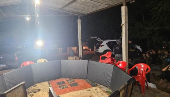 Polícia interrompe rinha de galos e encontra animais mutilados