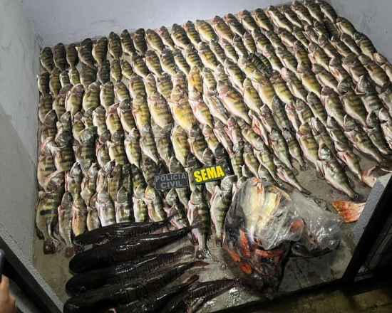 Sema apreende 184 unidades de pescado em Luciara e carne de caça em Santa Terezinha