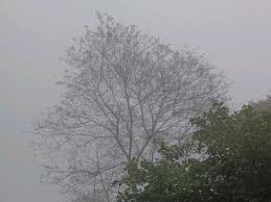 Frente fria derruba temperaturas em Mato Grosso e Cuiabá pode registrar 11°C na próxima semana