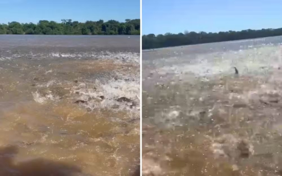 Cardume gigante cerca barco no Rio Araguaia e impressiona turistas durante fenômeno conhecido como 