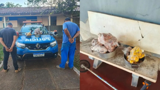 Dupla embriagada invade fazenda, furta frangos, pequi e roçadeiras e acaba presa