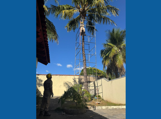 Salvamento de gato no mesmo dia em que prefeito destaca avanço do Corpo de Bombeiros reforça importância da corporação em Aragarças