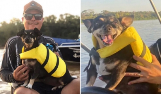 Cachorra viraliza na web ao chorar e 'pedir' para pescar com tutor no Rio Araguaia, em Aruanã