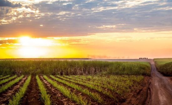 Agosto será de calor acima da média e pouca chuva em Mato Grosso, aponta Inmet