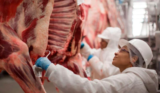 Exportações de carne bovina recuam em julho após recorde no primeiro semestre