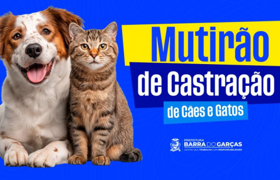 Prefeitura de Barra do Garças realizará mutirão de castração para 500 animais em situação de abandono