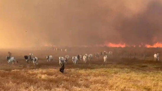 Incêndio de grandes proporções avança em Jangada e ameaça propriedades rurais