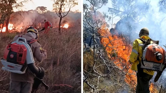 Incêndios atingem diferentes pontos da Chapada dos Veadeiros e queimam área equivalente a 13 campos de futebol