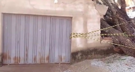 Professora tem a casa destruída por árvore que caiu após forte chuva