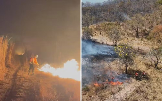 Incêndio destrói cerca de 600 hectares de vegetação próximo ao Parque Estadual da Serra Dourada