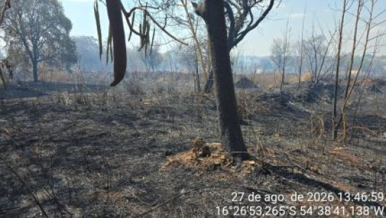 Homem é preso suspeito de provocar queimada ao tentar retirar cobre de fios em MT