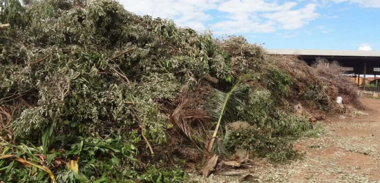 Prefeitura de Barra do Garças cria novo ecoponto para descarte de resíduos de podas e jardinagem