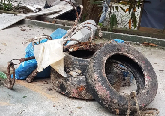 Levantamento aponta lixo como principal criadouro do Aedes aegypti em Barra do Garças