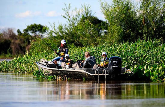 Piracema começa e proíbe pesca nos rios do Araguaia até janeiro