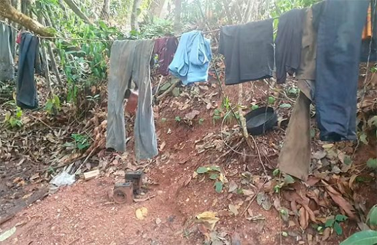 Quatro empregadores de MT entram para ‘lista suja’ por trabalho análogo à escravidão
