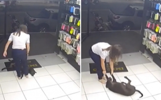 Cachorro atrapalha vendedoras a fecharem loja em Caldas Novas e viraliza na web