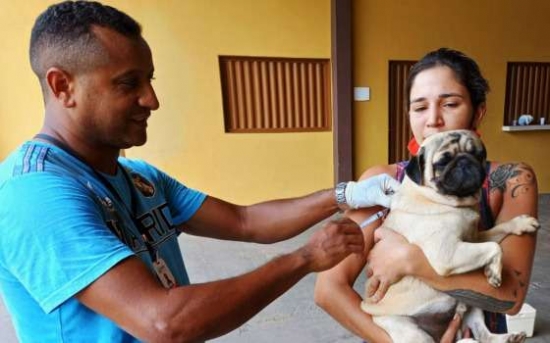 Prefeitura de Aragarças realiza 'Dia D' da vacinação antirrábica neste sábado (22)