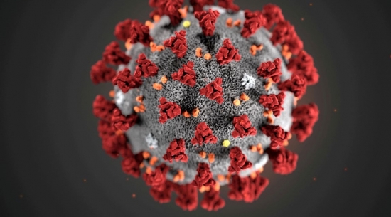 Dois casos da nova variante do coronavírus é registrado em São Paulo